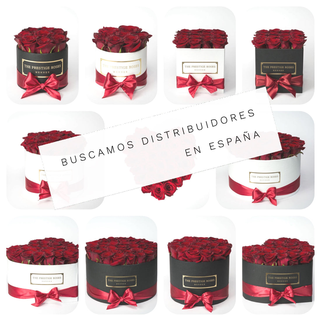 Distribución The Prestige Roses en España