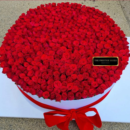 Impresionante caja de 450 rosas rojas frescas con lazo rojo, un regalo de lujo exclusivo de The Prestige Roses en Madrid. 