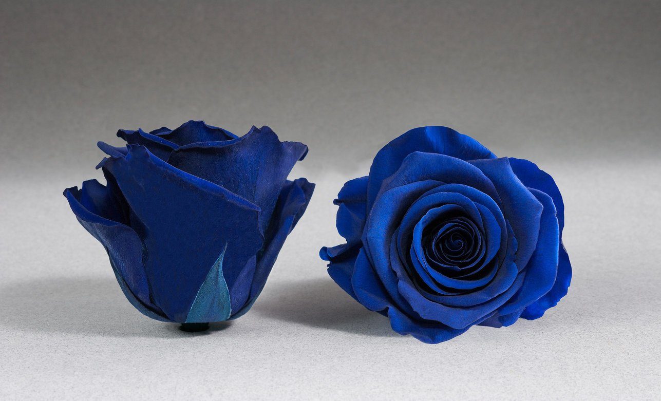 Caja Acrilica de Rosas Eternas Azules | The Prestige Roses - The Prestige Roses Madrid