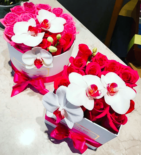 2 Razones por las que Comprar Orquídeas y Rosas - The Prestige Roses Madrid