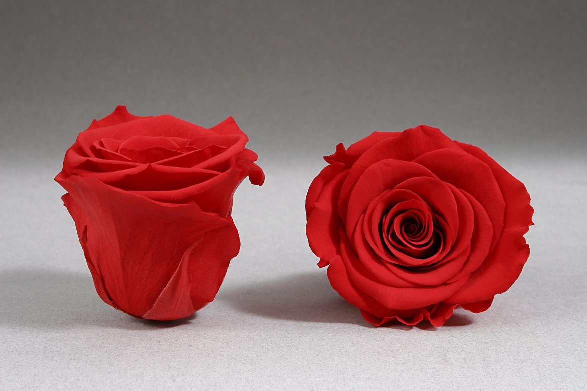 Caja Acrilica de Rosas Eternas  | The Prestige Roses - The Prestige Roses Madrid