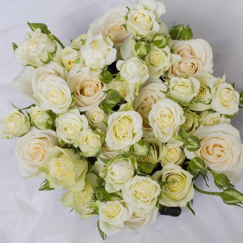 Rosas Blancas Frescas - The Prestige Roses Madrid