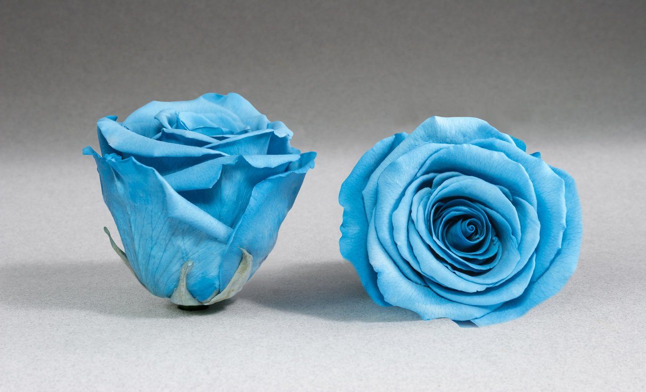 Caja Acrilica de Rosas Eternas Azules | The Prestige Roses - The Prestige Roses Madrid