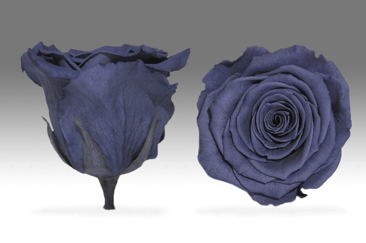 Caja Acrilica de Rosas Eternas  | The Prestige Roses - The Prestige Roses Madrid