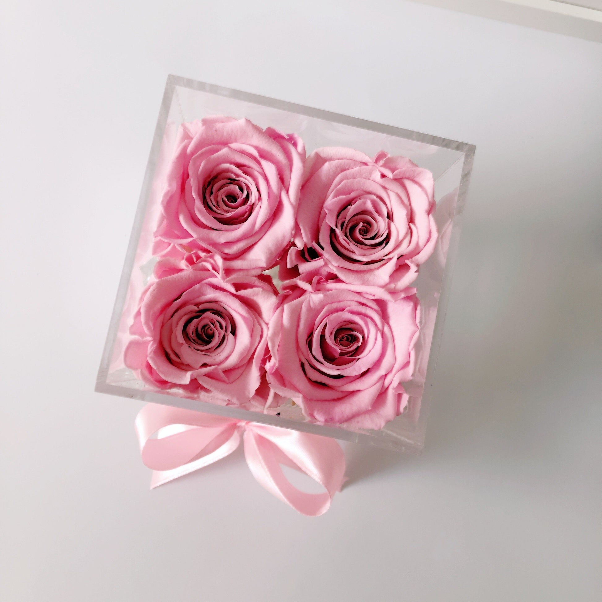 Caja Acrilica de Rosas Eternas Rosa | The Prestige Roses - The Prestige Roses Madrid