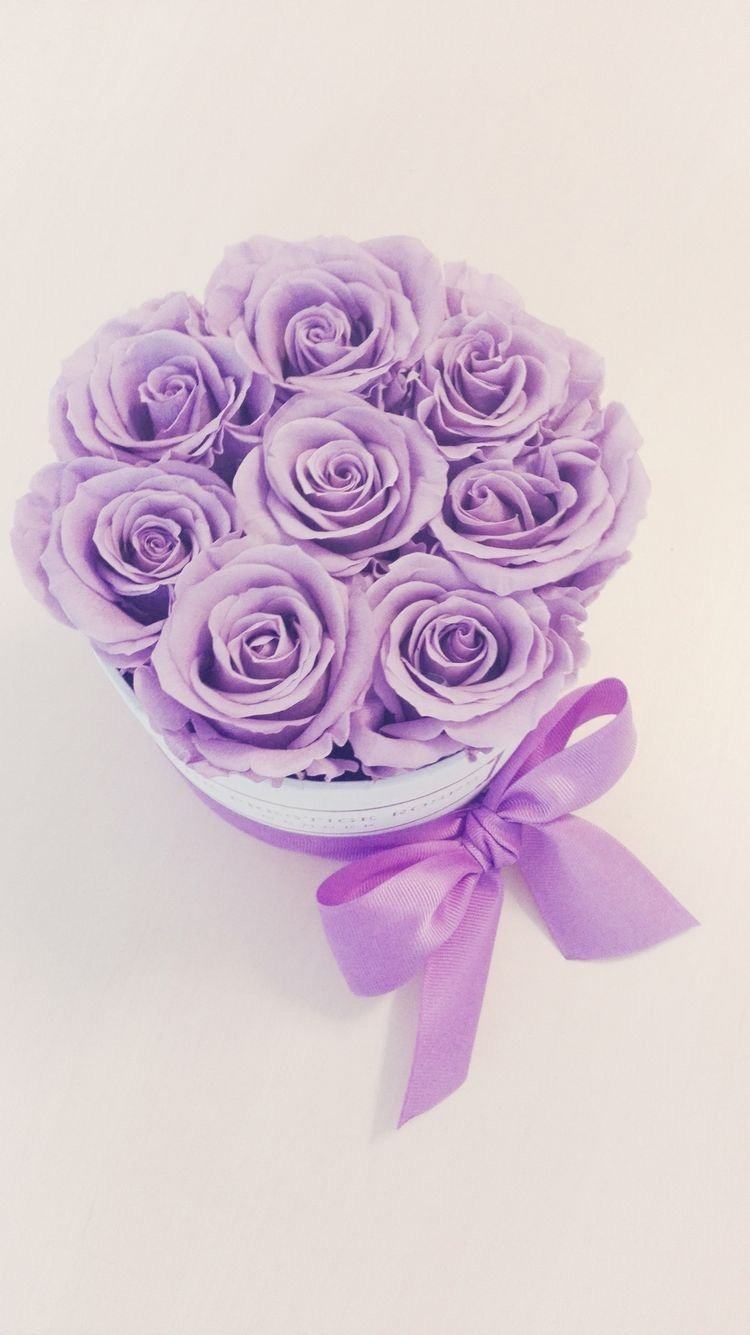 Rosas Moradas Preservadas - The Prestige Roses Madrid