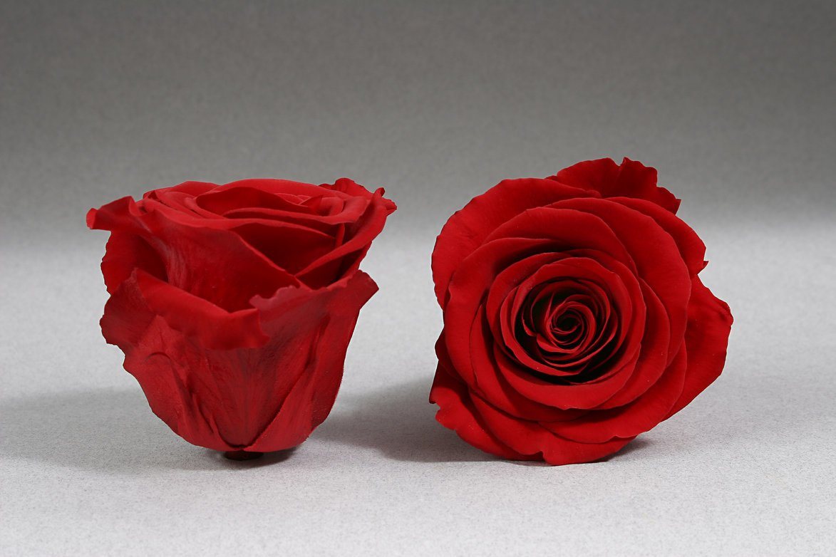 Caja Negro Corazon de Rosas Frescas Rojas | The Prestige Roses - The Prestige Roses Madrid