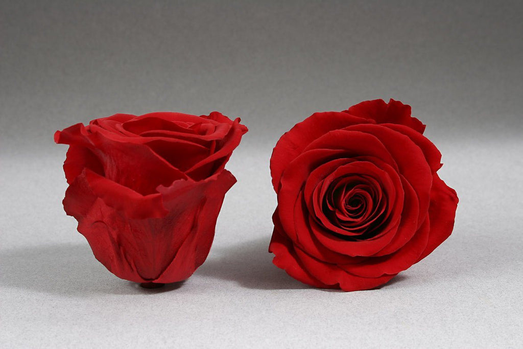 Caja Corazón de Rosas Preservadas - Provocateur Roses