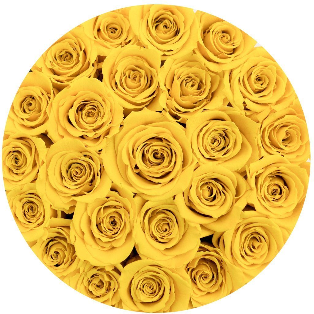 Coleccion Rosas Preservadas - Caja Medio - The Prestige Roses Espana - The Prestige Roses Madrid