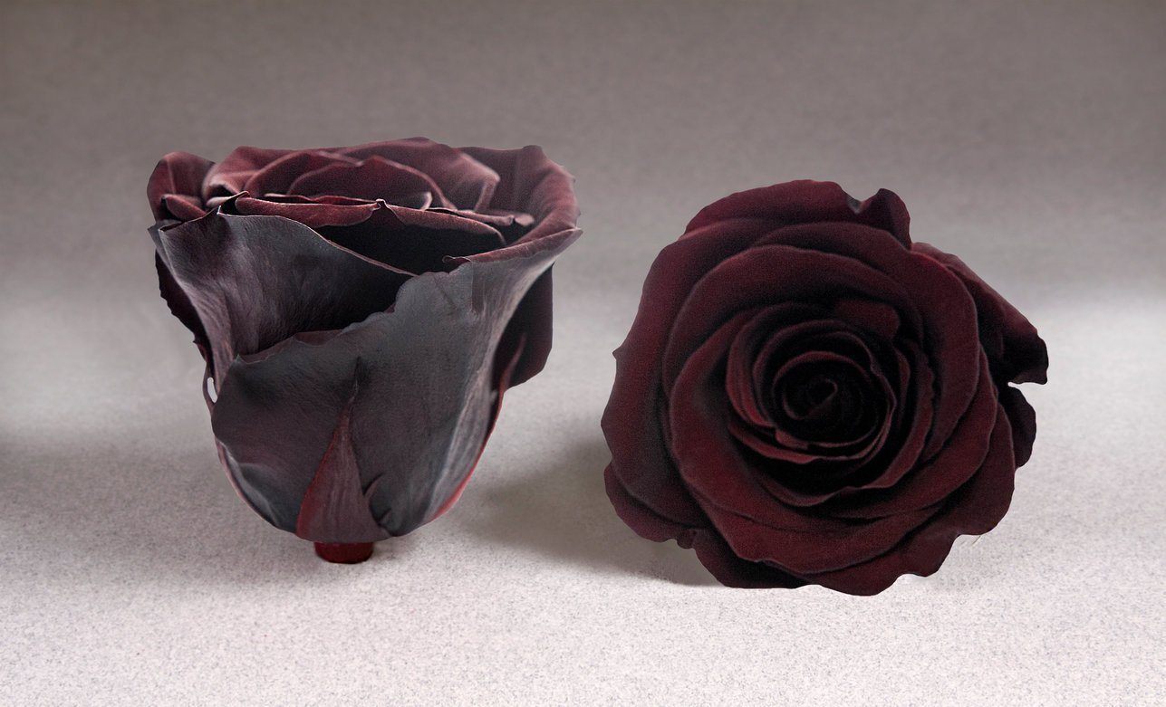 Caja Negro Grande de Rosas Eternas Rojas | The Prestige Roses - The Prestige Roses Madrid