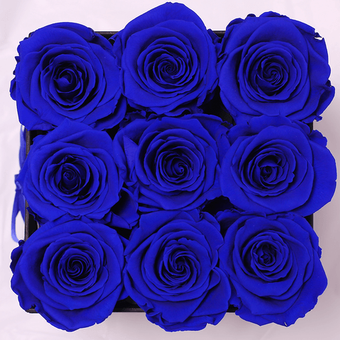 Coleccion Rosas Preservadas - Caja Cuadrado - The Prestige Roses Espana - The Prestige Roses Madrid