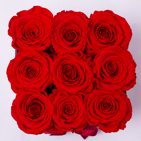 Coleccion Rosas Preservadas - Caja Cuadrado - The Prestige Roses Espana - The Prestige Roses Madrid