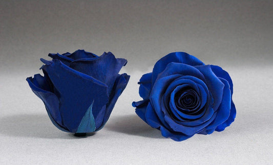 Caja Negro Grande de Rosas Eternas Azules | The Prestige Roses - The Prestige Roses Madrid