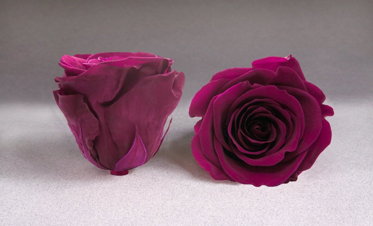 Caja Negro Corazon de Rosas Eternas Rosas | The Prestige Roses - The Prestige Roses Madrid