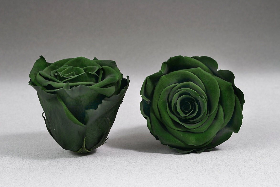 Caja Negro Mini de Rosas Eternas Verdes  | The Prestige Roses - The Prestige Roses Madrid