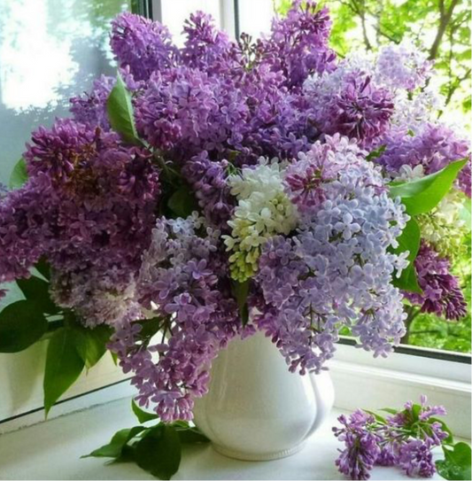 Ramo de Lilas Frescas