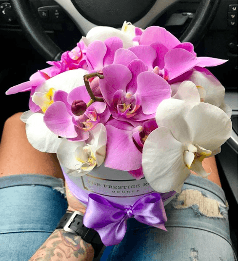 Comprar Orquídeas - The Prestige Roses Madrid