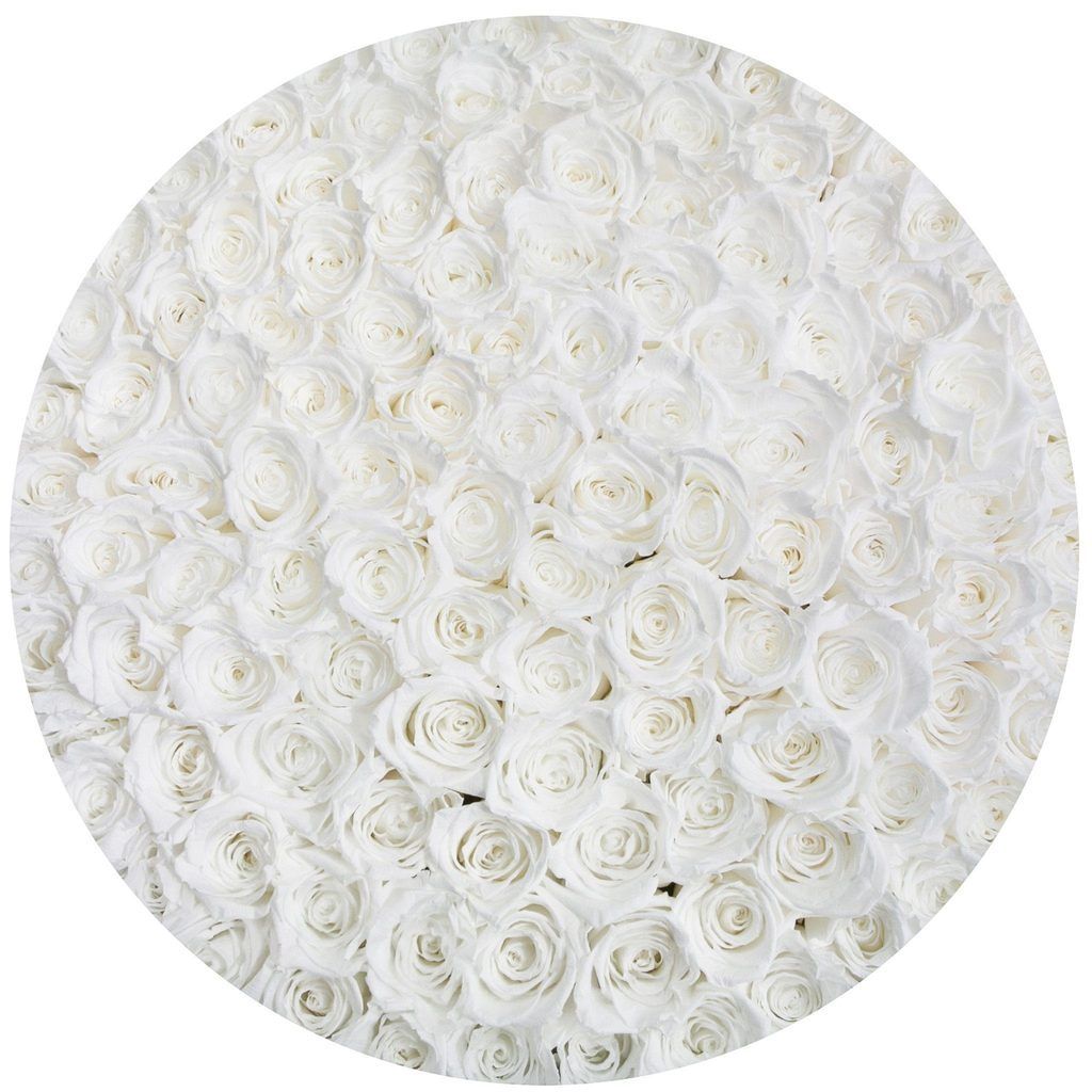 Rosas Blancas Frescas - The Prestige Roses Madrid