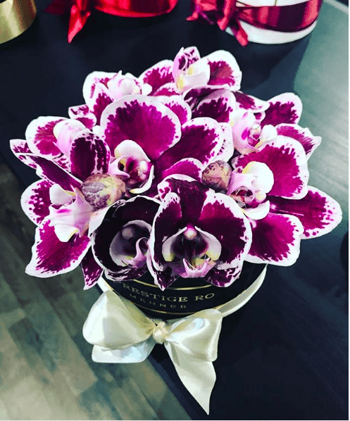 Comprar Orquídeas - The Prestige Roses Madrid