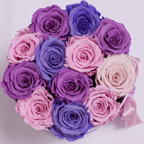 Coleccion Rosas Preservadas - Caja Medio - The Prestige Roses Espana - The Prestige Roses Madrid