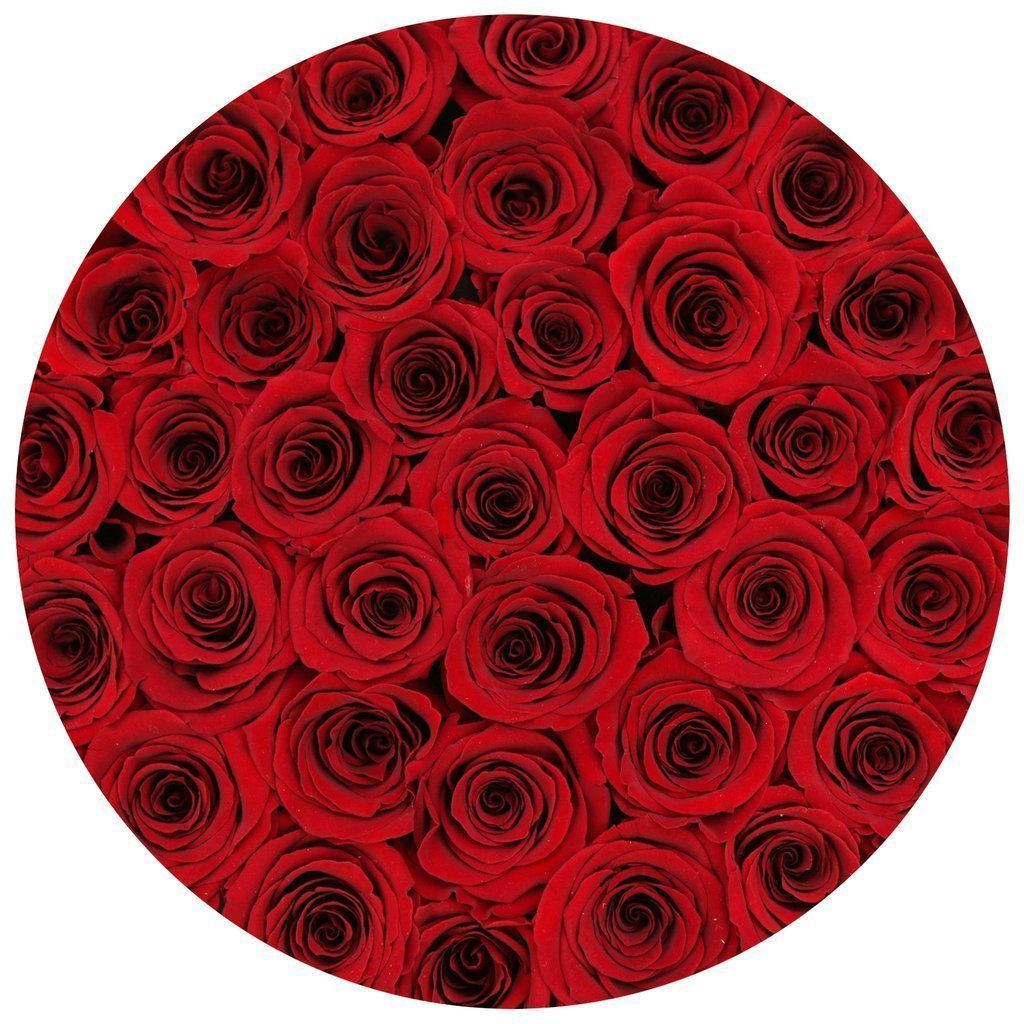 Rosas Rojas Preservadas - The Prestige Roses Madrid