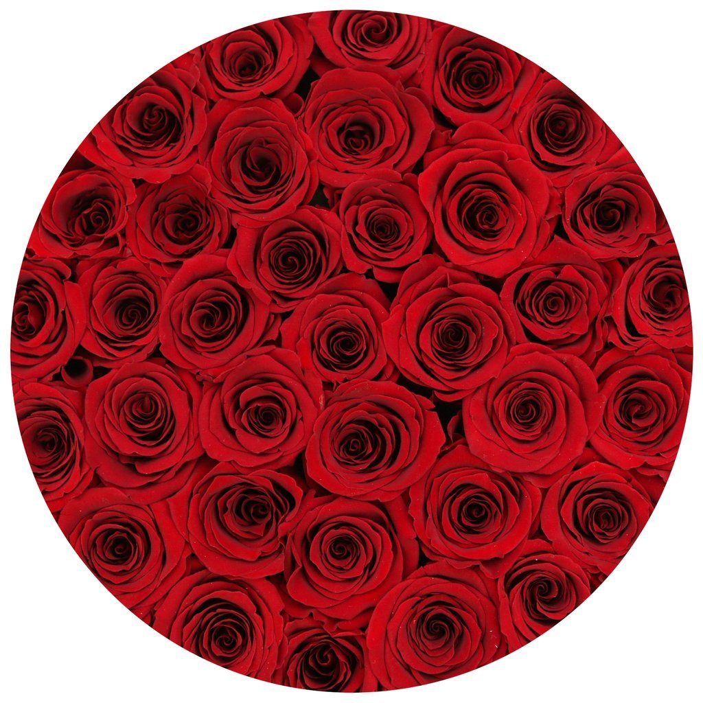 Rosas Rojas Frescas - The Prestige Roses Madrid