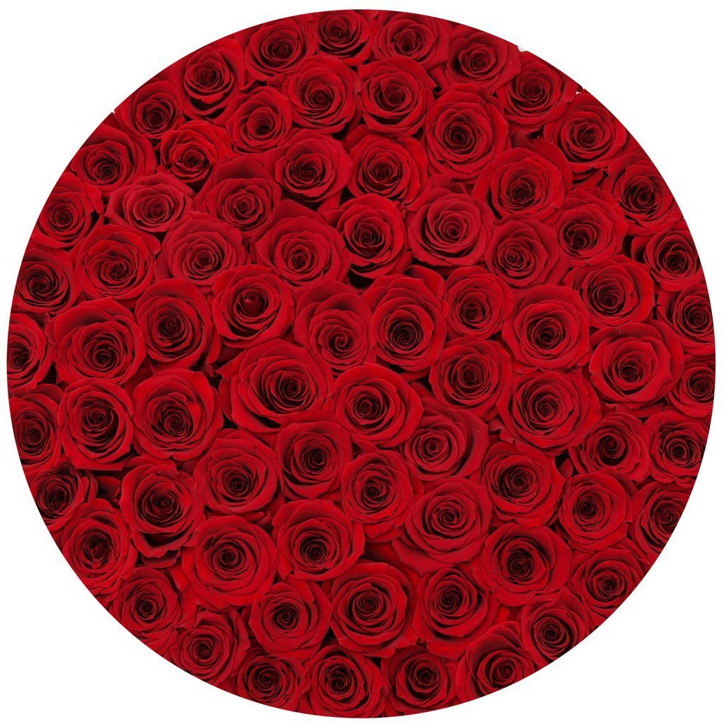 Rosas Rojas Frescas - The Prestige Roses Madrid