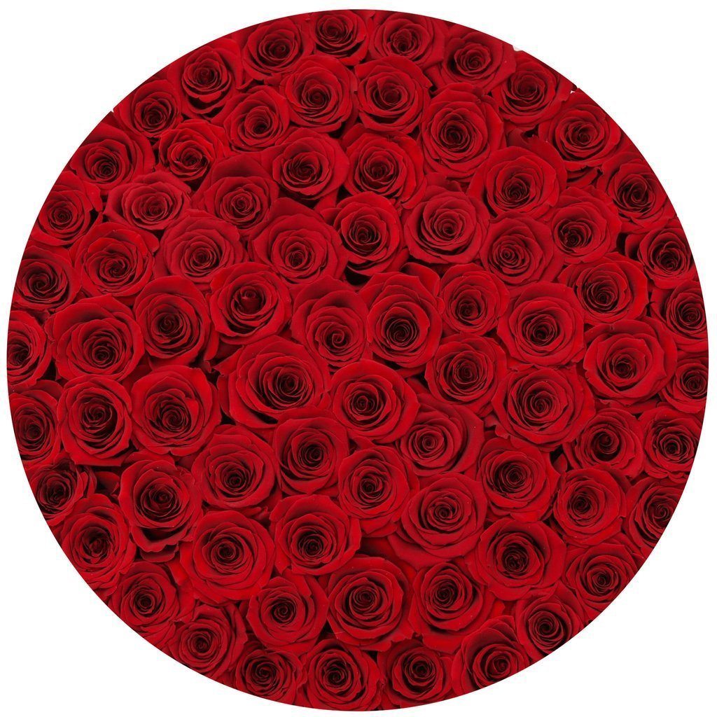 Rosas Rojas Preservadas - The Prestige Roses Madrid