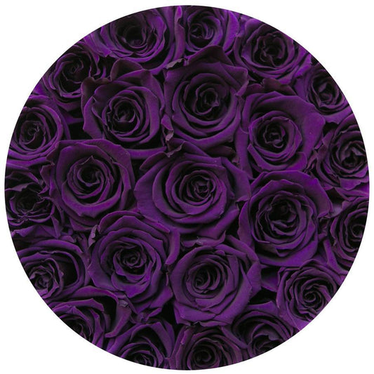 Rosas Moradas Preservadas - The Prestige Roses Madrid