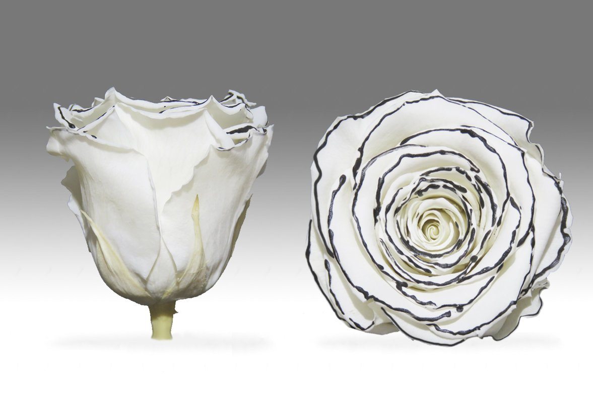 Caja Blanco Mini de Rosas Eternas Blancas | The Prestige Roses - The Prestige Roses Madrid