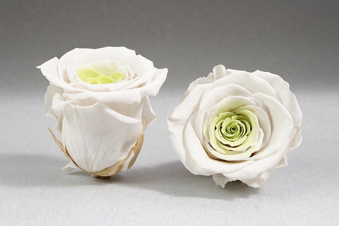 Caja Blanco Mini de Rosas Eternas Blancas | The Prestige Roses - The Prestige Roses Madrid